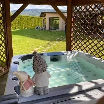 Sapin Myrtille Piscine Jacuzzi Hotel Dommartin-lès-Remiremont