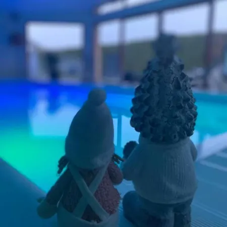 Hotel Sapin Myrtille Piscine Jacuzzi